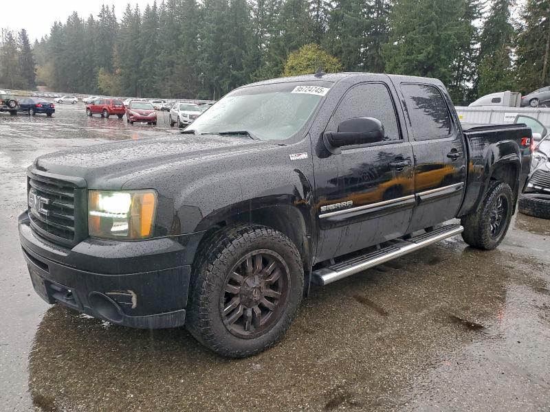 GMC SIERRA K15 2013 with VIN 3GTP2WE77DG366539 - Photo from auction
