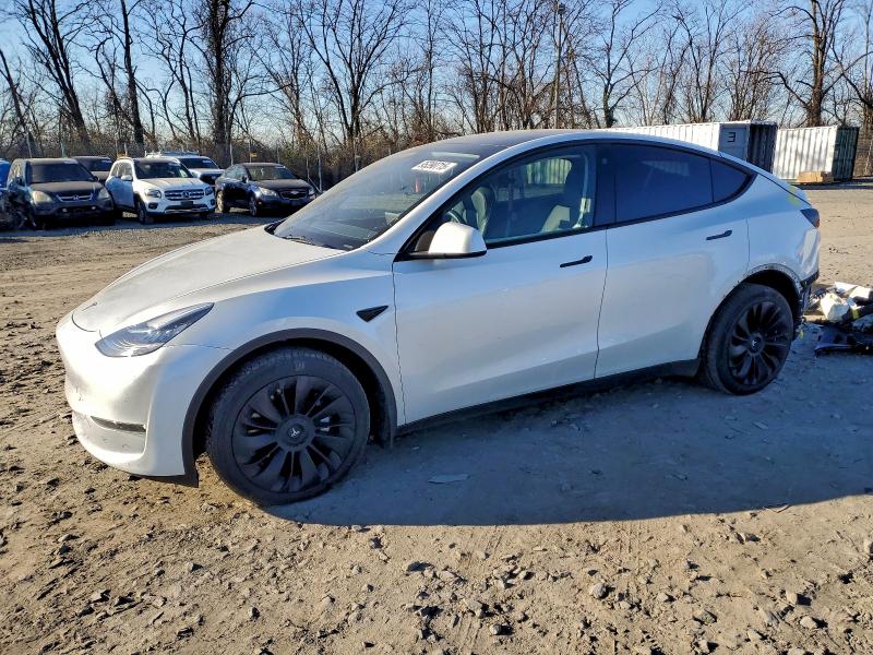 TESLA MODEL Y 2023 with VIN 7SAYGDEE4PA074351 - Photo from auction
