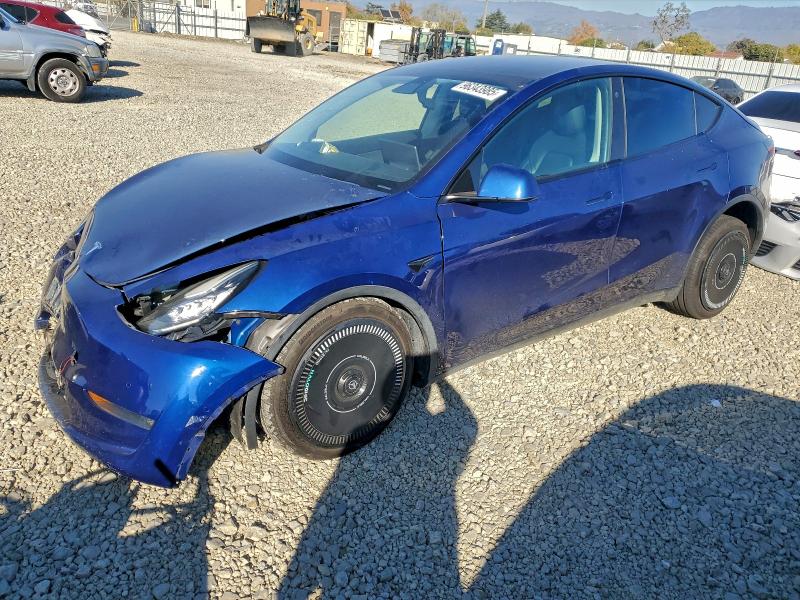 TESLA MODEL Y 2021 with VIN 5YJYGDEE7MF095223 - Photo from auction