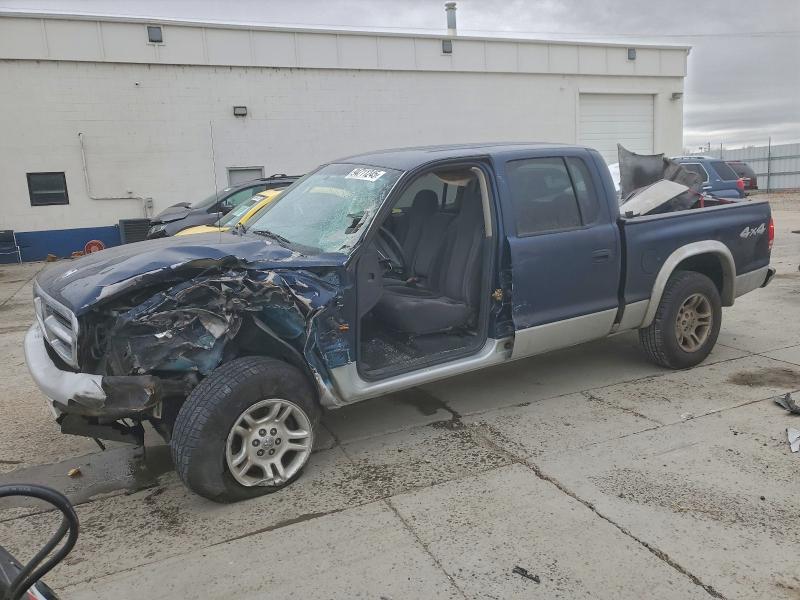 DODGE DAKOTA QUA 2003 with VIN 1D7HG48NX3S333973 - Photo from auction