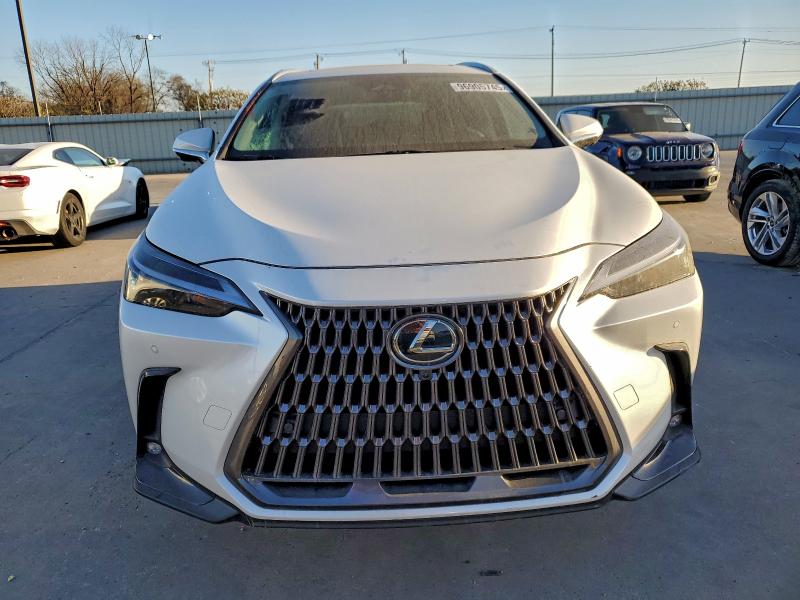 Photo 5 from auction – 2025 LEXUS NX with VIN 2T2GGCEZ2SC085625