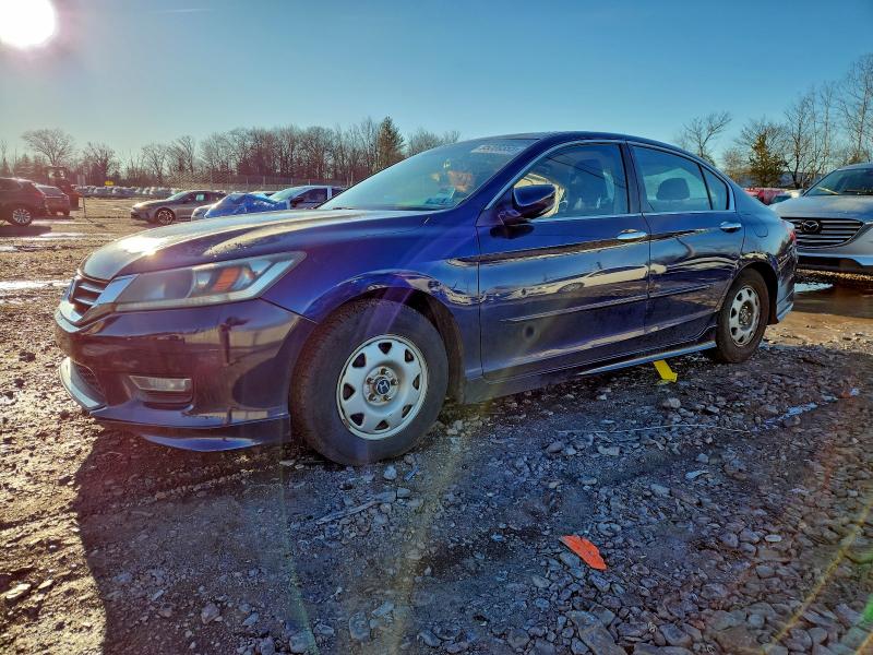 HONDA ACCORD SPO 2013 with VIN 1HGCR2F55DA229261 - Photo from auction