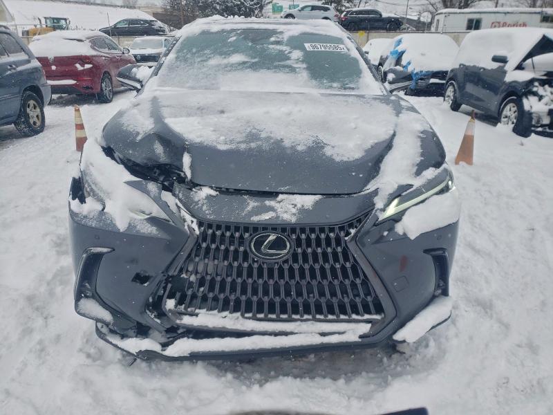 Photo 5 from auction – 2024 LEXUS NX 350 PRE with VIN 2T2GGCEZ2RC053655