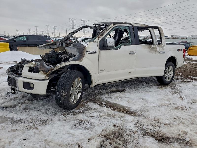 FORD F150 SUPER 2015 with VIN 1FTEW1EG5FFB96636 - Photo from auction