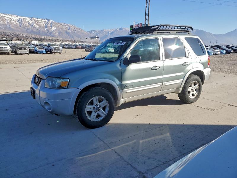 FORD ESCAPE 2007 with VIN 1FMCU49H17KA67282 - Photo from auction