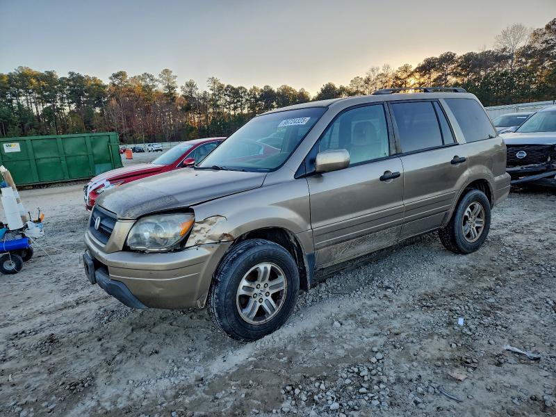 HONDA PILOT EXL 2005 with VIN 5FNYF18555B007932 - Photo from auction