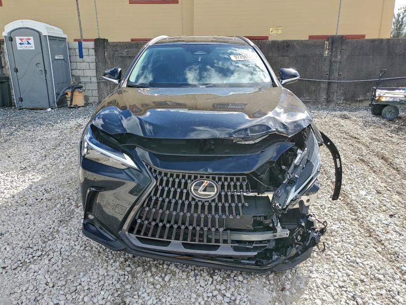 Photo 5 from auction – 2025 LEXUS NX 250 PRE with VIN 2T2GDCAZ0SC029357