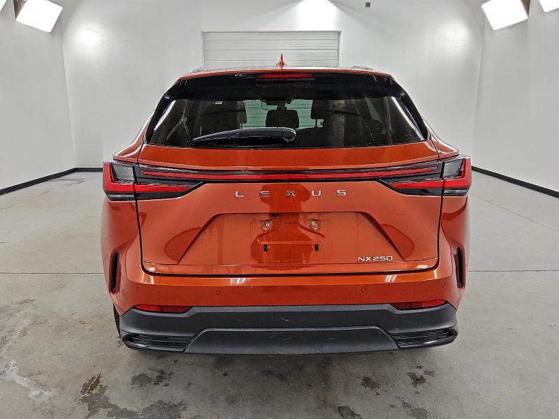 Photo 6 from auction – 2023 LEXUS NX 250 with VIN 2T2GDCAZ1PC003051