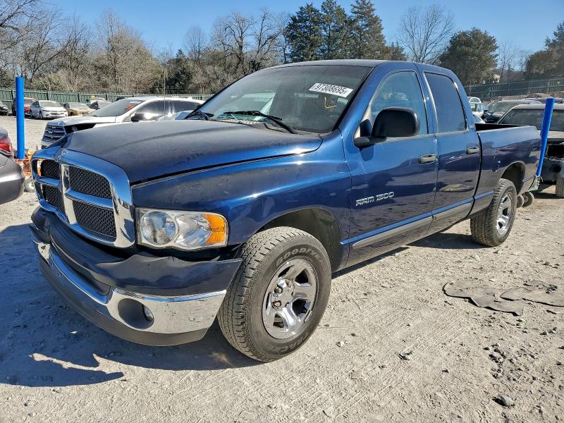 DODGE RAM 1500 2002 with VIN 1D7HA18N12S653911 - Photo from auction