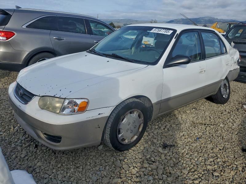 TOYOTA COROLLA CE 2001 with VIN 1NXBR12E81Z472806 - Photo from auction