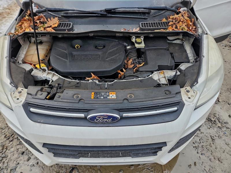 Photo 12 from auction – 2013 FORD ESCAPE SE with VIN 1FMCU9G95DUC98002