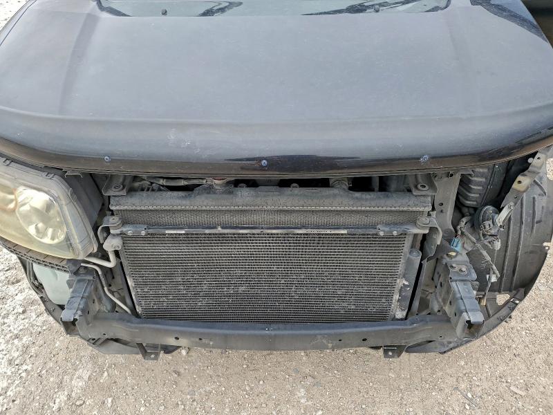 Photo 12 from auction – 2007 HONDA ELEMENT SC with VIN 5J6YH18917L000600