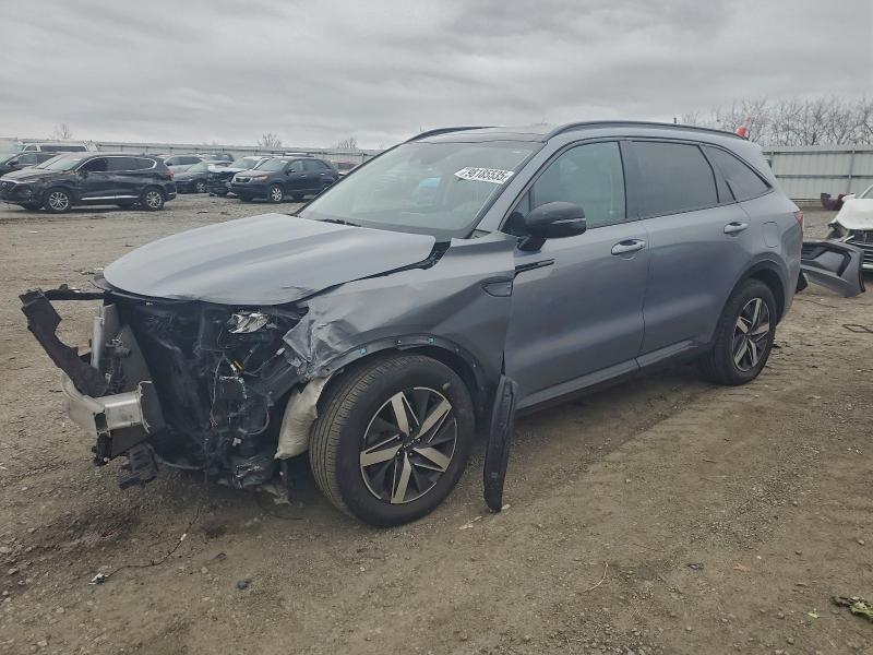 KIA SORENTO S 2023 with VIN 5XYRL4LC4PG187887 - Photo from auction