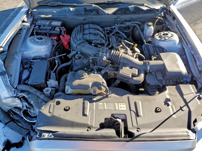 Photo 11 from auction – 2014 FORD MUSTANG with VIN 1ZVBP8AM2E5201202