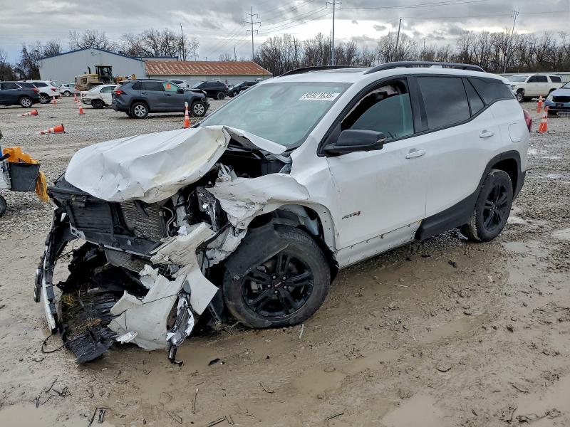 GMC TERRAIN AT 2023 with VIN 3GKALYEG7PL220317 - Photo from auction