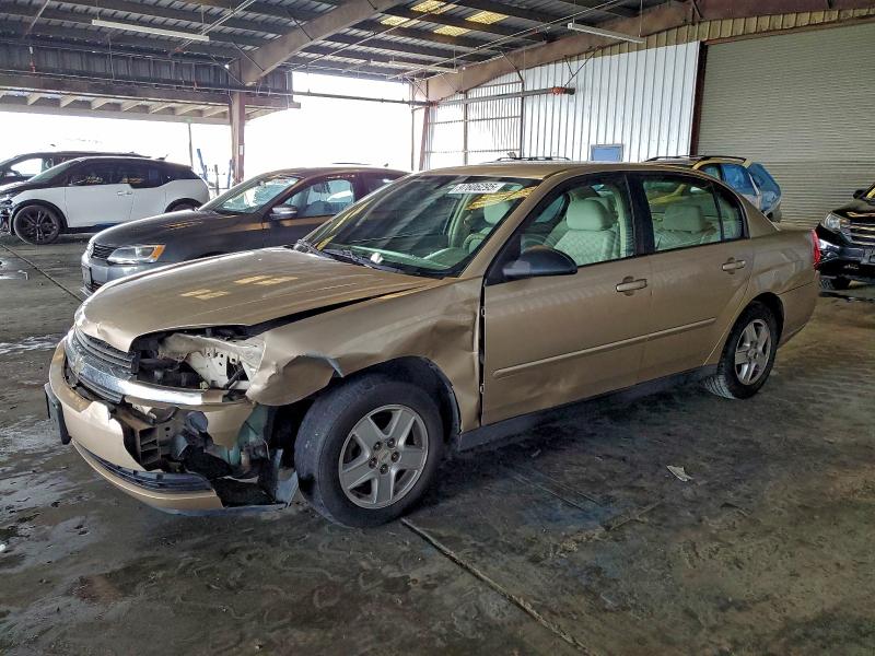 CHEVROLET MALIBU LS 2004 with VIN 1G1ZT54834F157982 - Photo from auction