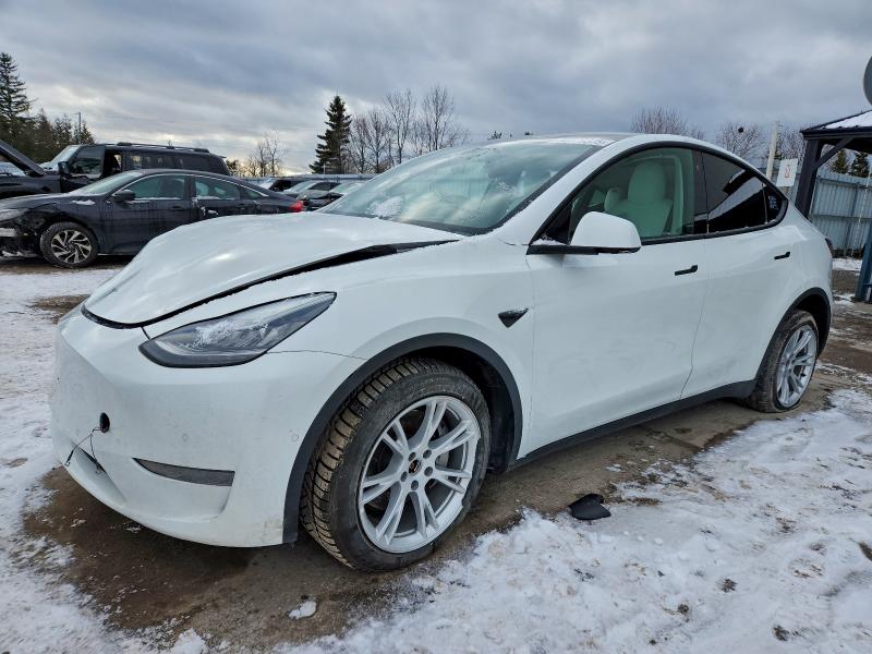 TESLA MODEL Y 2021 with VIN 5YJYGDEE7MF089101 - Photo from auction