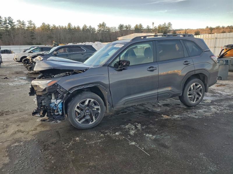 SUBARU FORESTER P 2025 with VIN JF2SLSED8SH435409 - Photo from auction