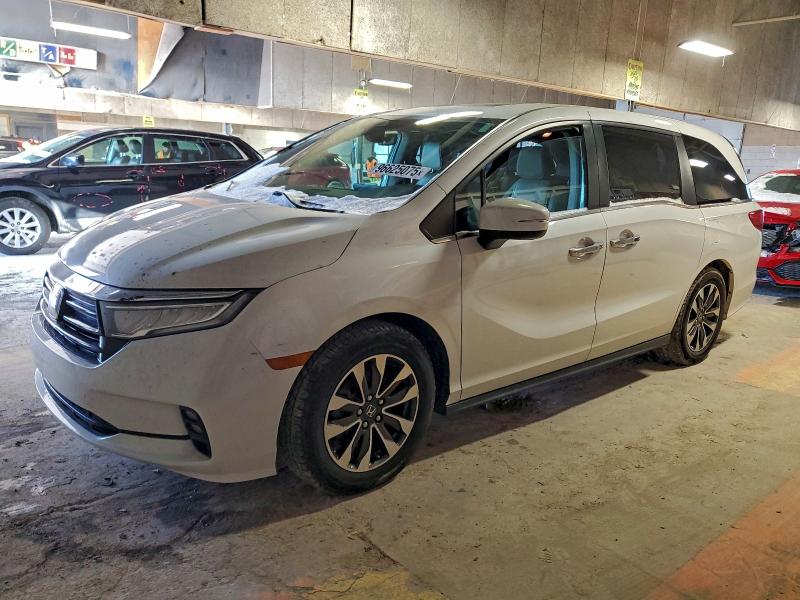 HONDA ODYSSEY EX 2022 with VIN 5FNRL6H71NB033648 - Photo from auction