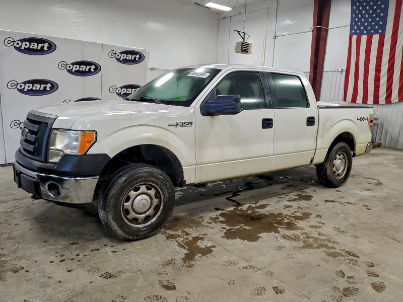 FORD F150 SUPER 2010 with VIN 1FTEW1E88AFB05988 - Photo from auction