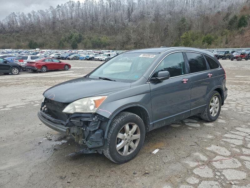 HONDA CR-V 2011 with VIN 5J6RE3H40BL043573 - Photo from auction