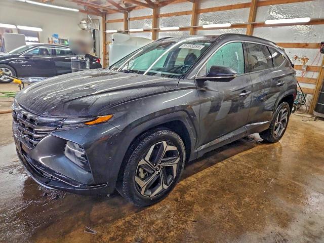 HYUNDAI TUCSON LIM 2023 with VIN 5NMJECAE8PH207635 - Photo from auction