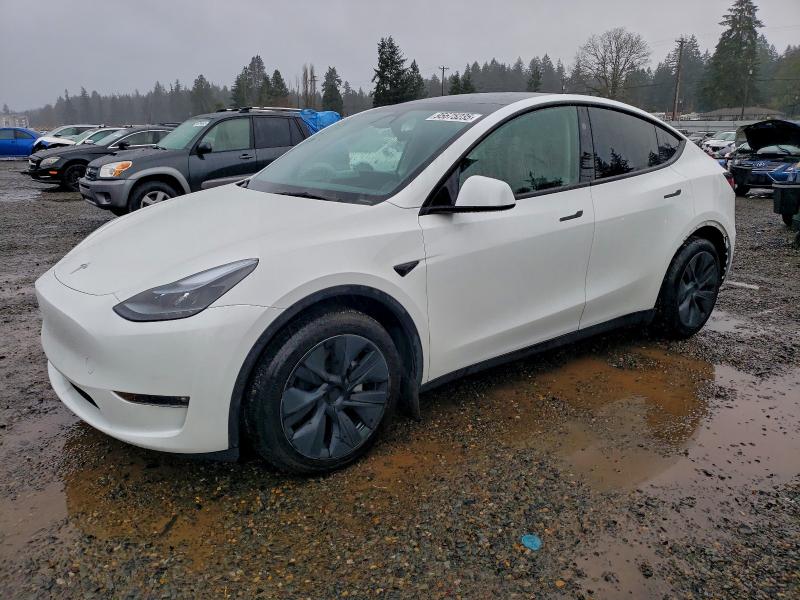 TESLA MODEL Y 2024 with VIN 7SAYGAEE0RF204601 - Photo from auction