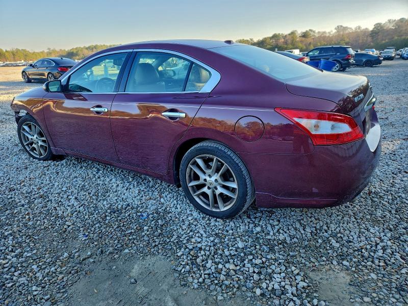 Photo 2 from auction – 2010 NISSAN MAXIMA with VIN 1N4AA5AP8AC830063