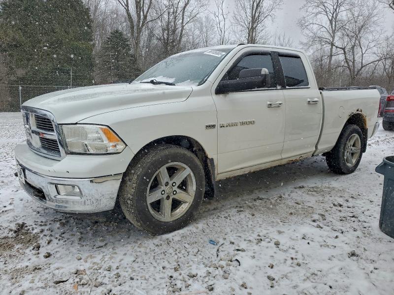 DODGE RAM 1500 2011 with VIN 1D7RV1GT4BS643513 - Photo from auction