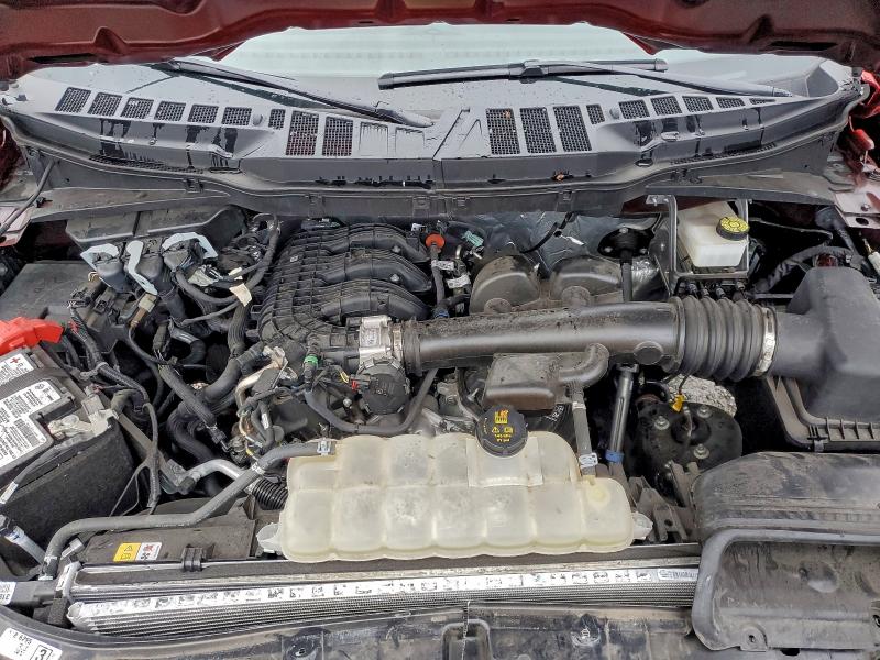 Photo 11 from auction – 2023 FORD F150 SUPER with VIN 1FTEX1CB1PKF98764