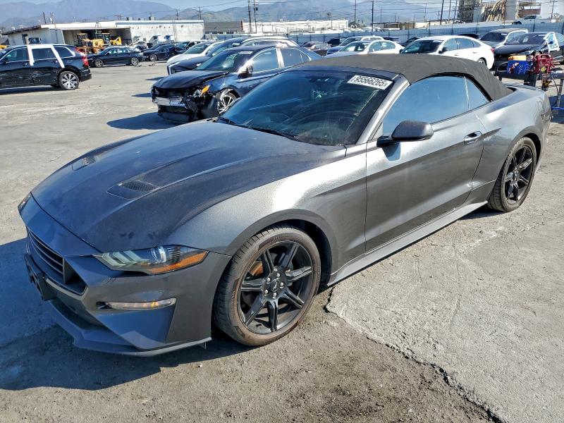 FORD MUSTANG 2019 with VIN 1FATP8UH1K5202428 - Photo from auction