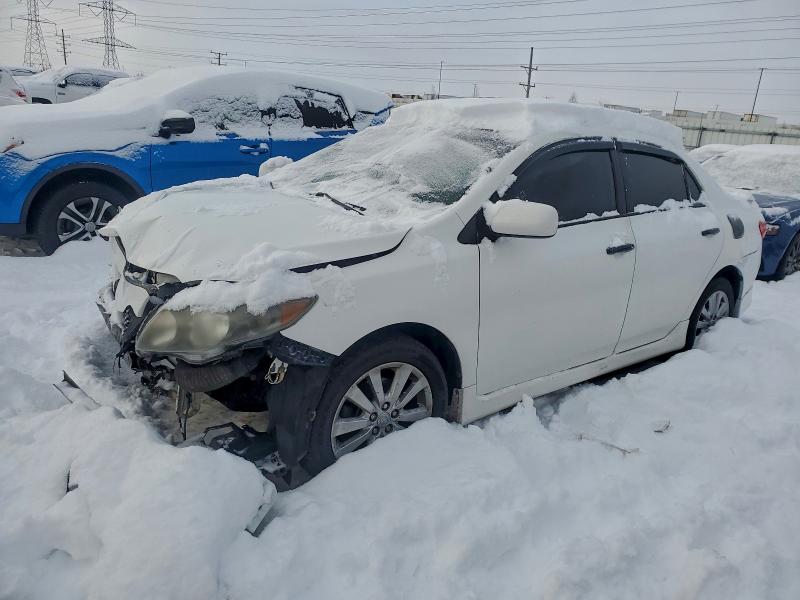 TOYOTA COROLLA 2010 with VIN 2T1BU4EE8AC529664 - Photo from auction