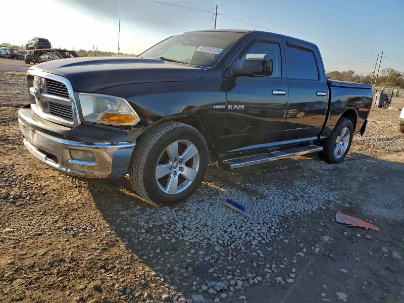 DODGE RAM 1500 2009 with VIN 1D3HB13T39S793554 - Photo from auction