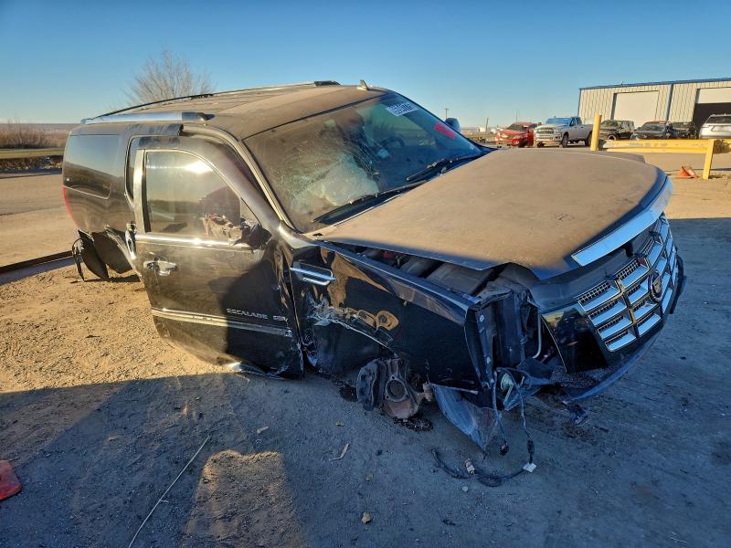 Photo 4 from auction – 2010 CADILLAC ESCALADE with VIN 1GYUCJEF3AR249265
