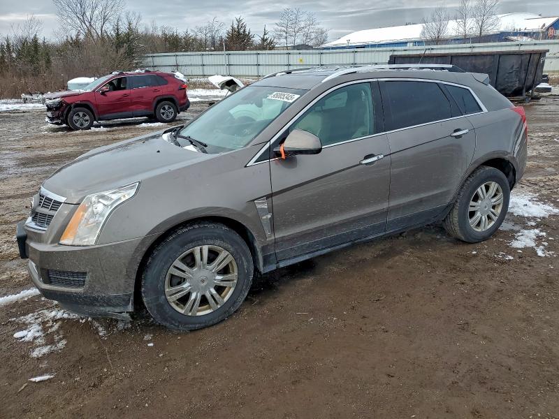 Photo 1 from auction – 2011 CADILLAC SRX LUXURY with VIN 3GYFNAEY8BS558104