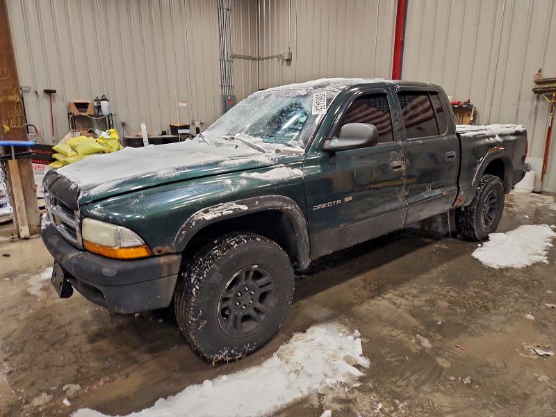 DODGE DAKOTA 2002 with VIN 1B7HG48N12S646046 - Photo from auction