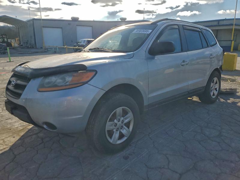 HYUNDAI SANTA FE G 2009 with VIN 5NMSG13D49H304339 - Photo from auction