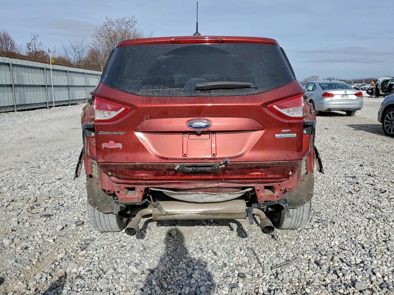 Photo 6 from auction – 2014 FORD ESCAPE SE with VIN 1FMCU0GX5EUC50981