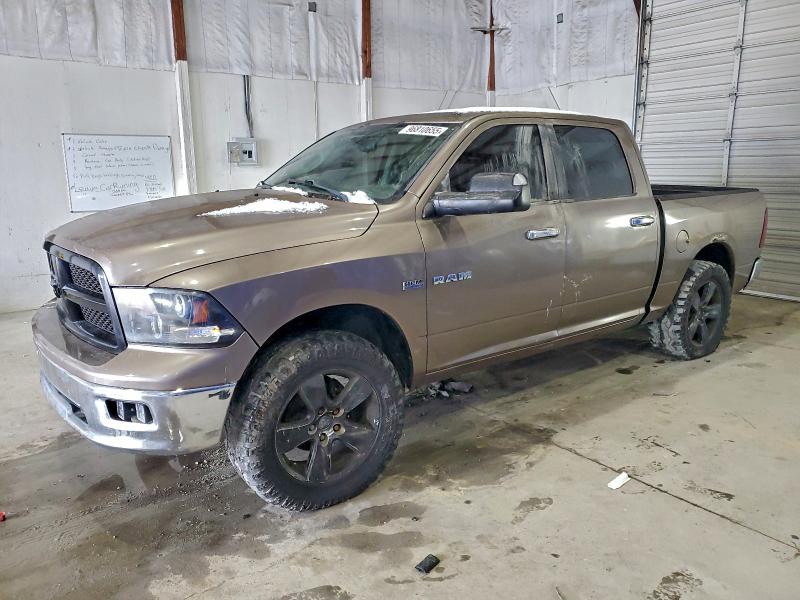 DODGE RAM 1500 2010 with VIN 1D7RV1CT6AS161887 - Photo from auction