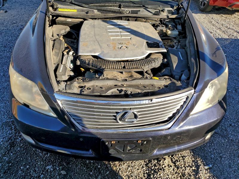 Photo 11 from auction – 2008 LEXUS LS 460 with VIN JTHBL46F285065643