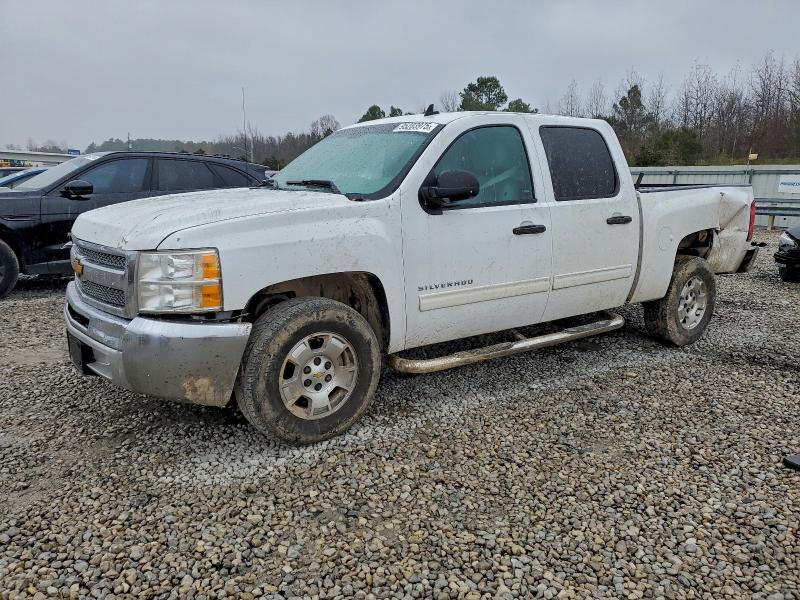 CHEVROLET SILVERADO 2013 with VIN 3GCPCSE09DG140107 - Photo from auction