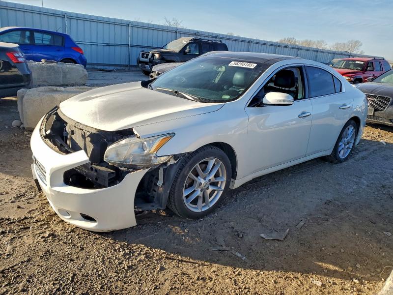 NISSAN MAXIMA S 2009 with VIN 1N4AA51E59C824487 - Photo from auction