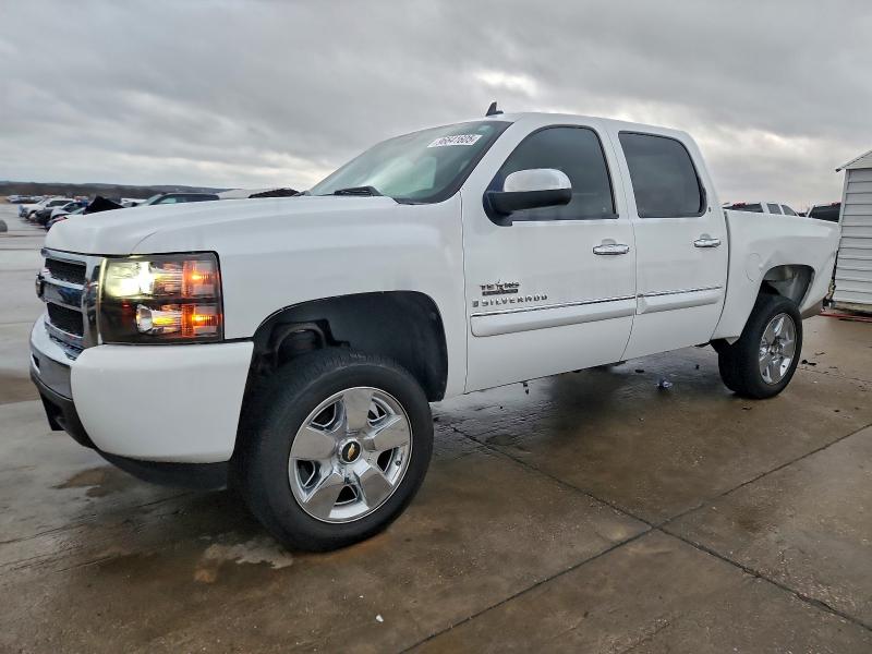 CHEVROLET SILVERADO 2009 with VIN 3GCEC23039G177008 - Photo from auction