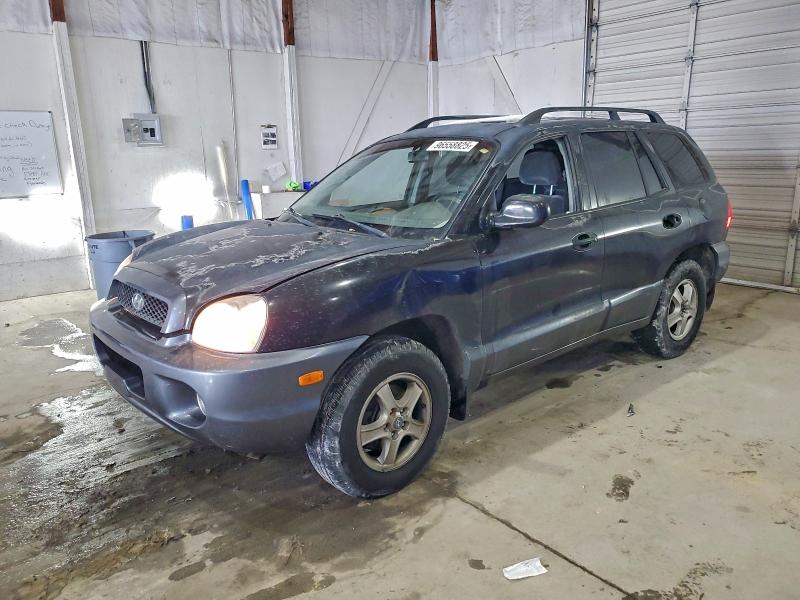 HYUNDAI SANTA FE G 2002 with VIN KM8SC73D72U306336 - Photo from auction