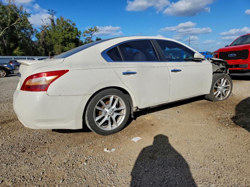 Photo 3 from auction – 2010 NISSAN MAXIMA with VIN 1N4AA5AP1AC858917