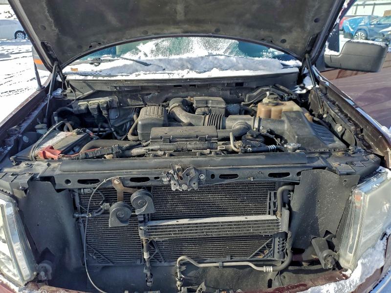 Photo 11 from auction – 2010 FORD F150 SUPER with VIN 1FTFX1EV1AFC48448