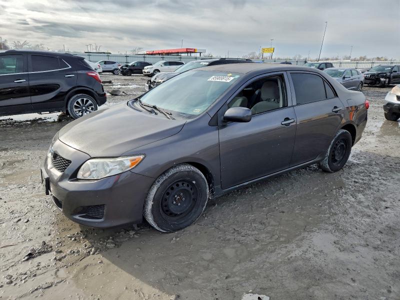 TOYOTA COROLLA BA 2009 with VIN JTDBL40E09J025149 - Photo from auction