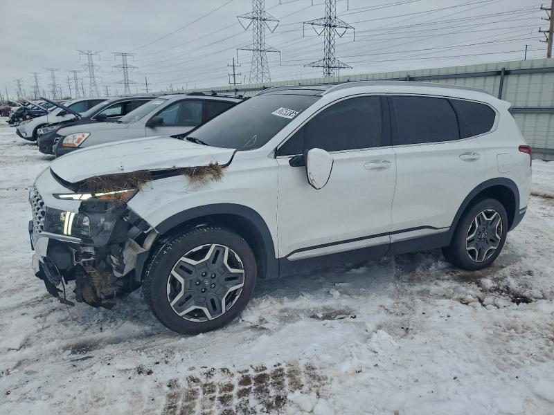 HYUNDAI SANTA FE 2023 with VIN 5NMS4DAL9PH486363 - Photo from auction