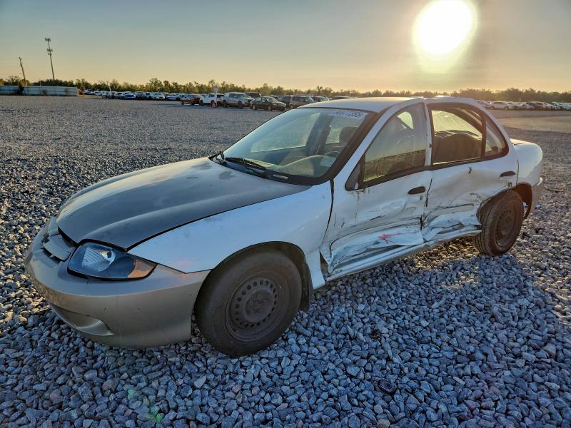 CHEVROLET CAVALIER L 2003 with VIN 1G1JF52F637126949 - Photo from auction