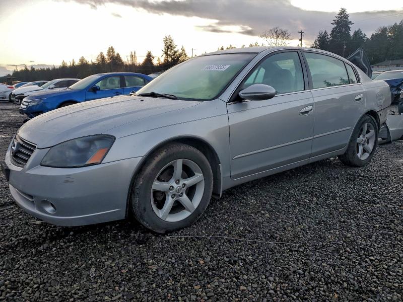 NISSAN ALTIMA SE 2006 with VIN 1N4BL11D76N447546 - Photo from auction